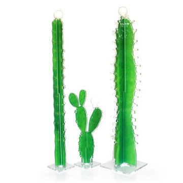 CACTUS Vert